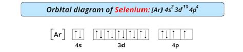 selenium orbital diagram|Iba pa.